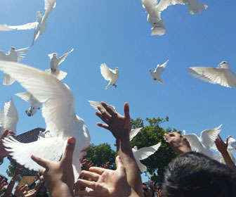romeros-white-doves-released-at-funerals-memorials-white-dove-release-los-angeles