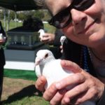 white-doves-release-san-fernando-mission-cemetery-doves-for-funerals-by-romeros-white-doves-san-fernando-valley