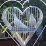 white-doves-release-for-weddings-pendant-heart-cage-by-romeros-white-doves-los-angeles-ca