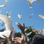 romeros-white-doves-released-at-funerals-memorials-white-dove-release-los-angeles
