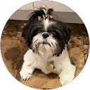 Bertha Somoano profile picture